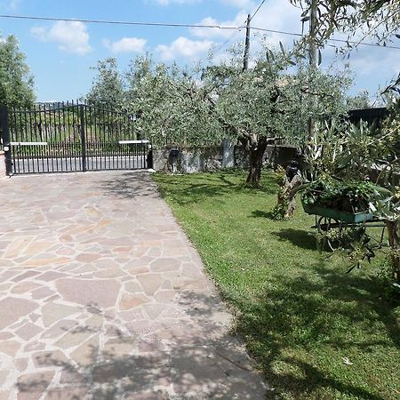 B&B Villino Lory Marino Dış mekan fotoğraf
