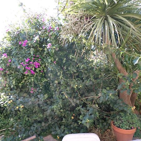 B&B Villino Lory Marino Dış mekan fotoğraf