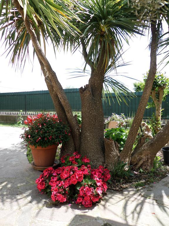 B&B Villino Lory Marino Dış mekan fotoğraf