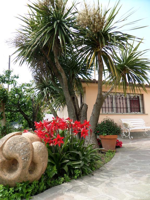 B&B Villino Lory Marino Oda fotoğraf